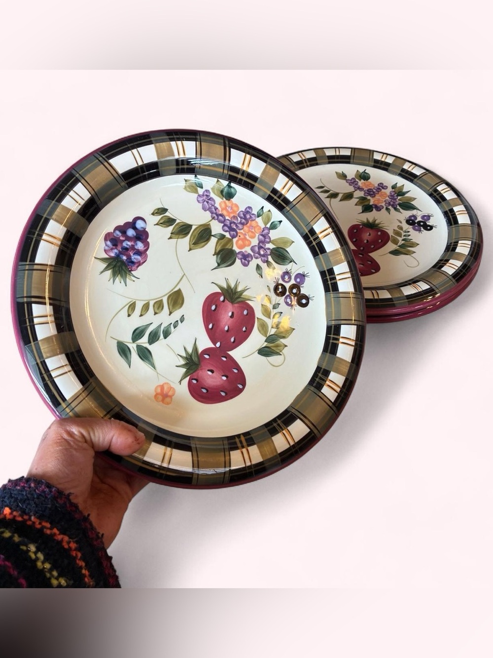 Hand-Painted Garden Fruit & Floral Ceramic Dinner Plates with Checkered Trim 🍇